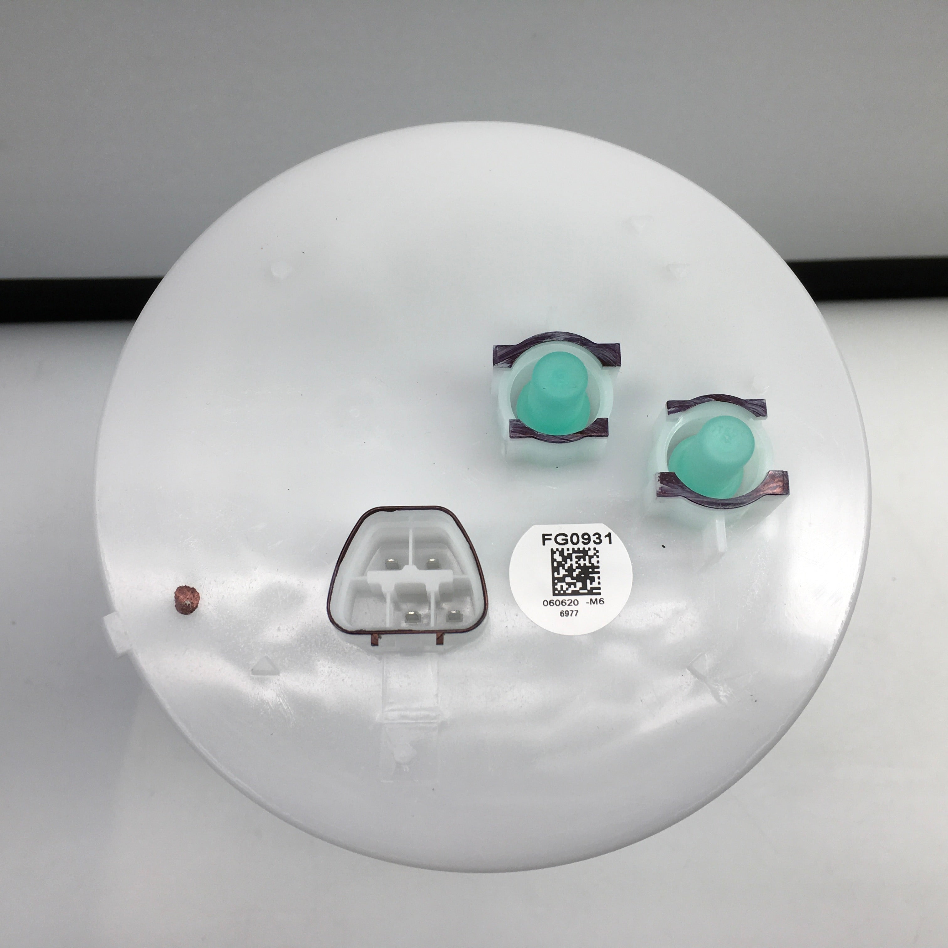 Delphi FG0931 Fuel Module