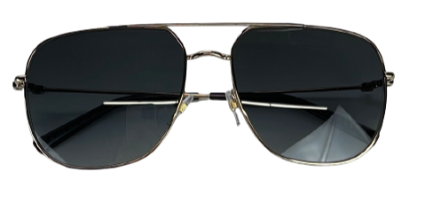 GIVENCHY GV 7195/S Sunglasses